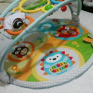 Skip hop activity gym